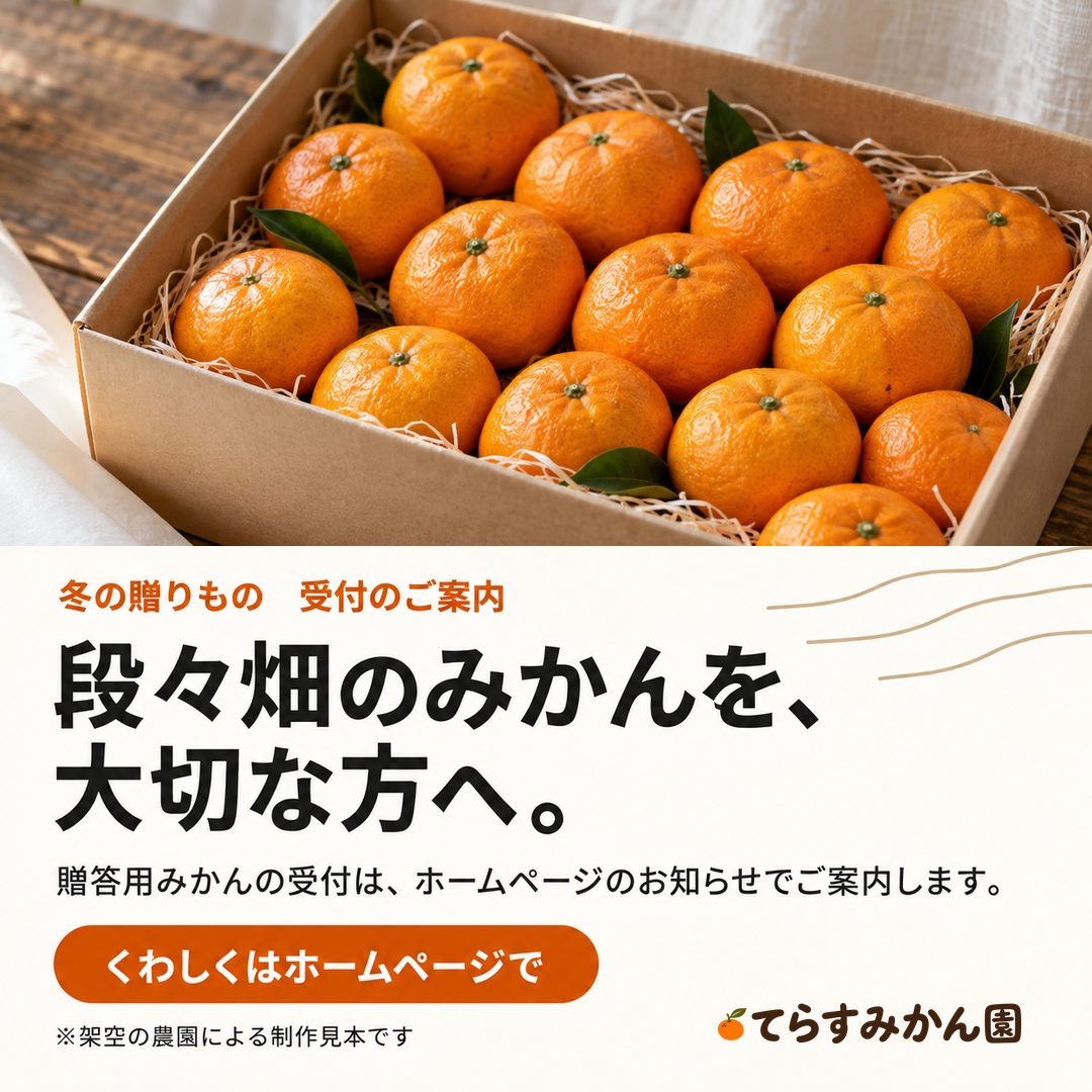 てらすみかん園(自主制作)